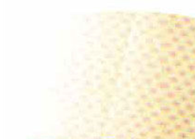 圆骨A6-2型 55×10mm